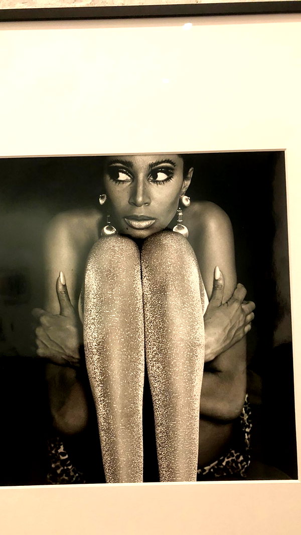 leni.bahr archive image