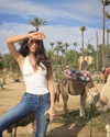 andreeamariavinatoru Altpins Profile Picture