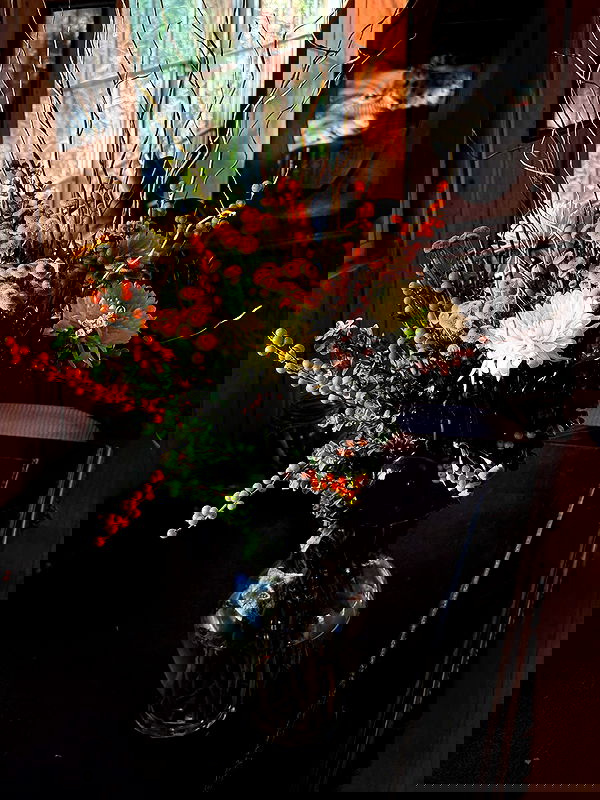 carolinezalog carolinezalog archive image