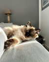 sophiecharlotth Altpins Profile Picture