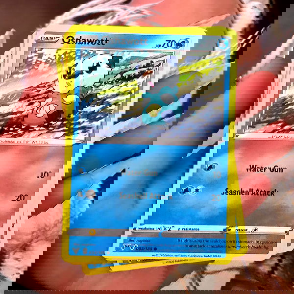 naia_gg naia_gg archive image