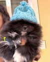 katrina.zaiceva Altpins Profile Picture
