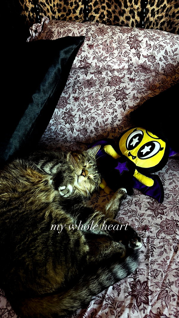sincerelyjuju instagram image archive image