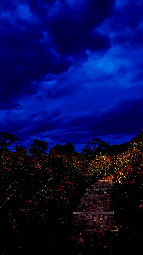 tgiangya instagram image archive image