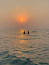 shira_adar_ Altpins Profile Picture