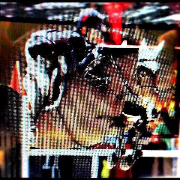 gigihadid instagram image archive image