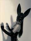 daihanabalieiro Altpins Profile Picture