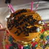 gigihadid Altpins Profile Picture