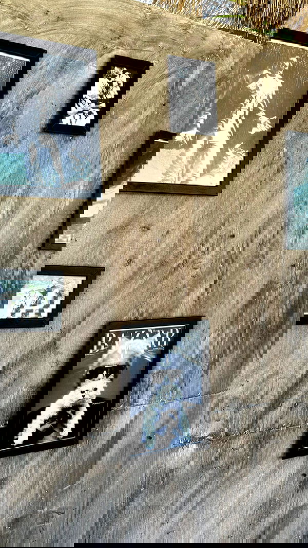 taylor.creeden taylor.creeden archive image