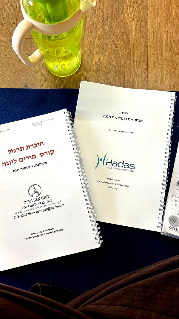 shirel.varol instagram image archive image
