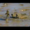 nyyxxii_ Altpins Profile Picture