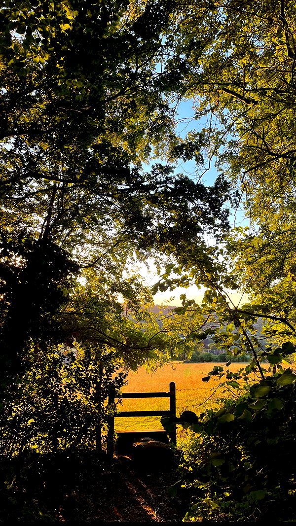mollieruck instagram image archive image