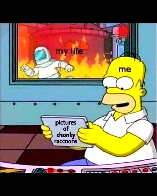 leanbeefpatty instagram image archive image