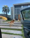 vanessa.rhd Altpins Profile Picture