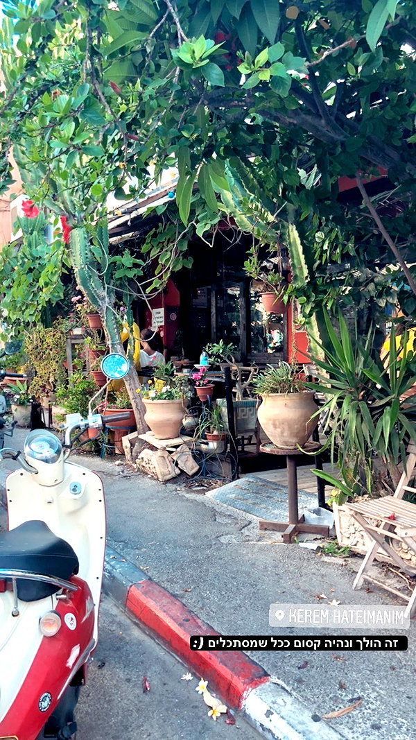 yaelxyazdi instagram image archive image