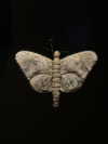 elizabethcampbelljones Altpins Profile Picture