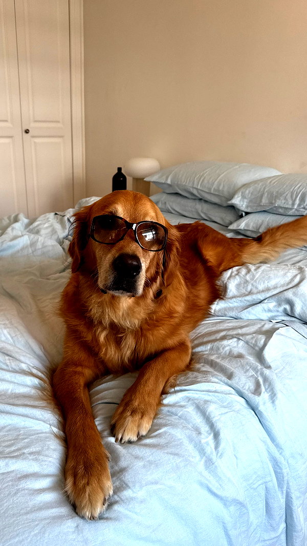 Archived image from @edenharper on Instagram
