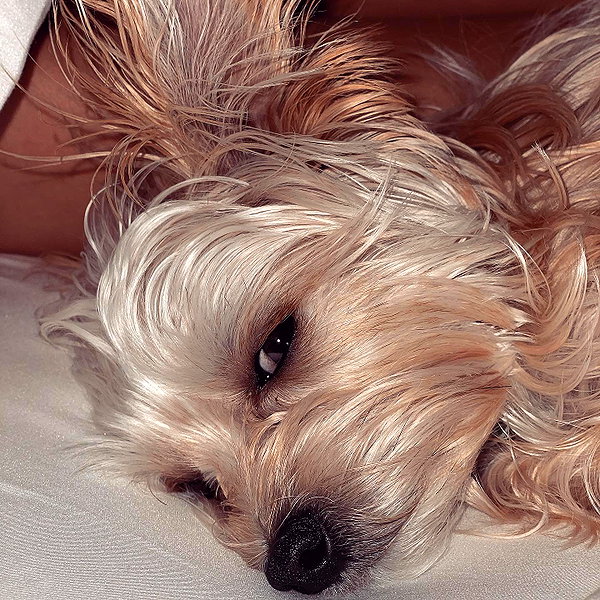 lilbieber instagram image archive image