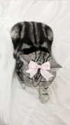 annaemiliaz Altpins Profile Picture