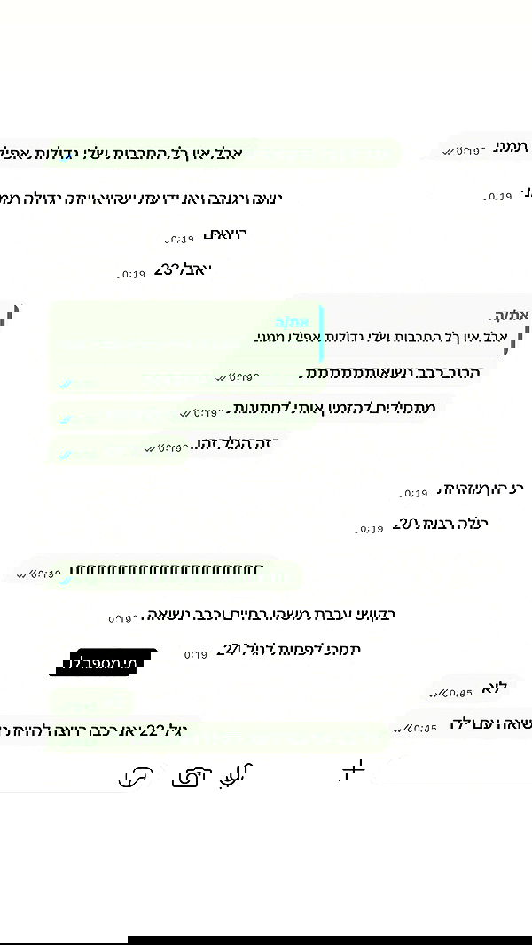 _lil_noa_ _lil_noa_ archive image