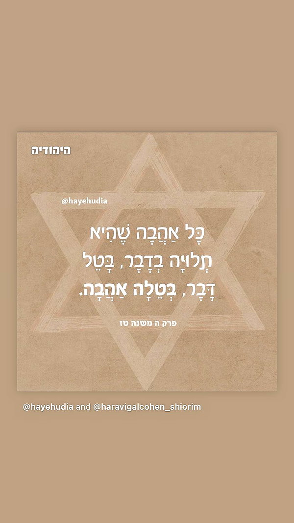 shaharo__._ instagram image archive image