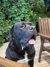 noa.benhemo Altpins Profile Picture
