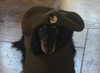 libby_reut Altpins Profile Picture