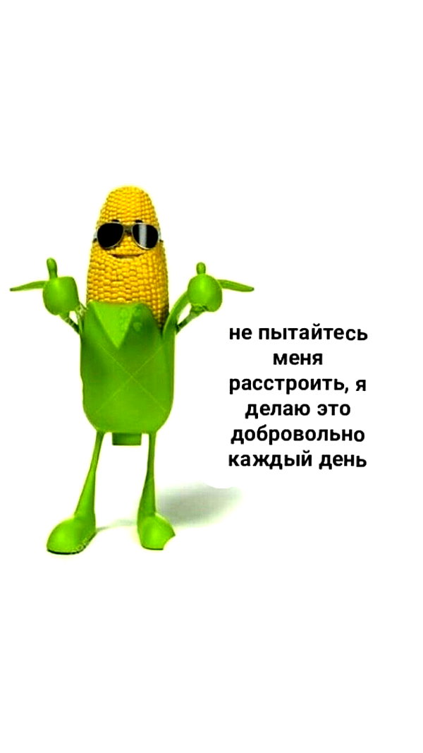 daryanedarya instagram image archive image