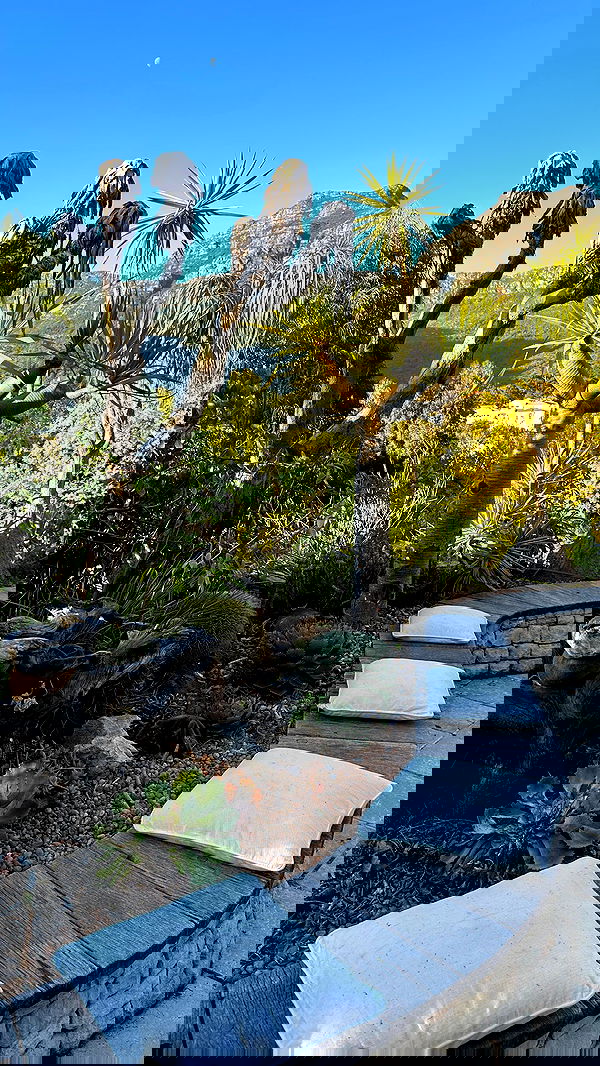 taylor.creeden taylor.creeden archive image