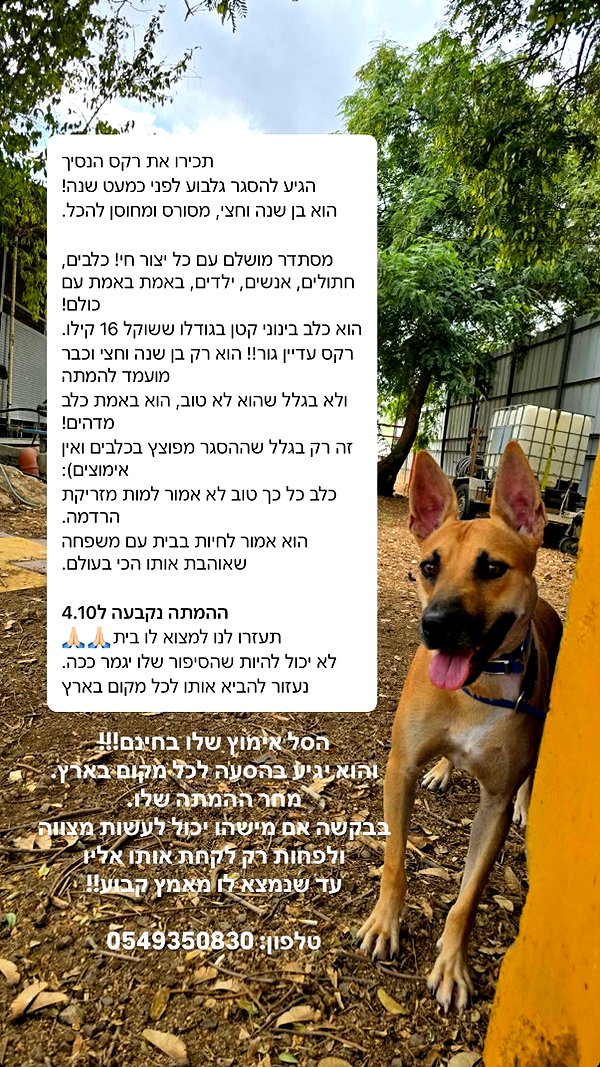 a.shaked_ a.shaked_ archive image