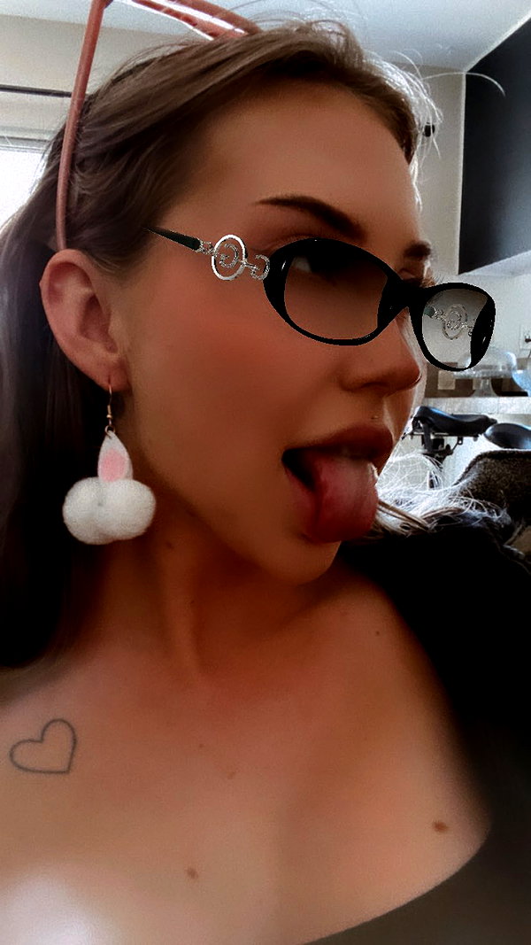 bunnyhazed archive image