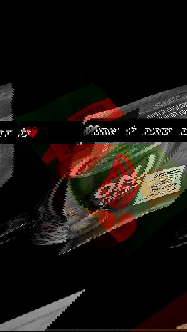 moonliliaght moonliliaght archive image