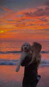 danamrts Altpins Profile Picture