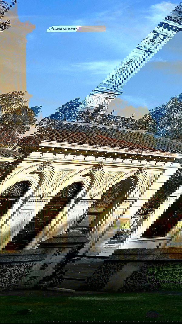 taylor.creeden taylor.creeden archive image