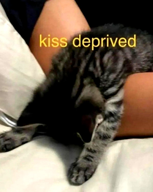 milkiwifey instagram image archive image