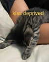 milkiwifey Altpins Profile Picture