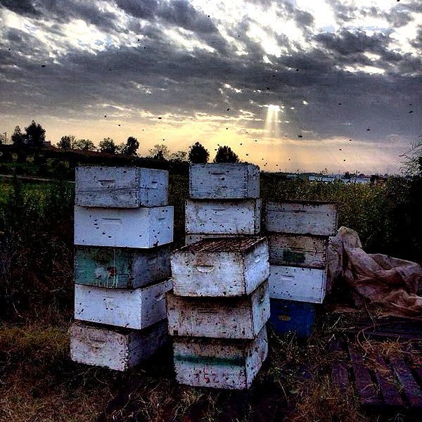 adihimelbloy instagram image archive image