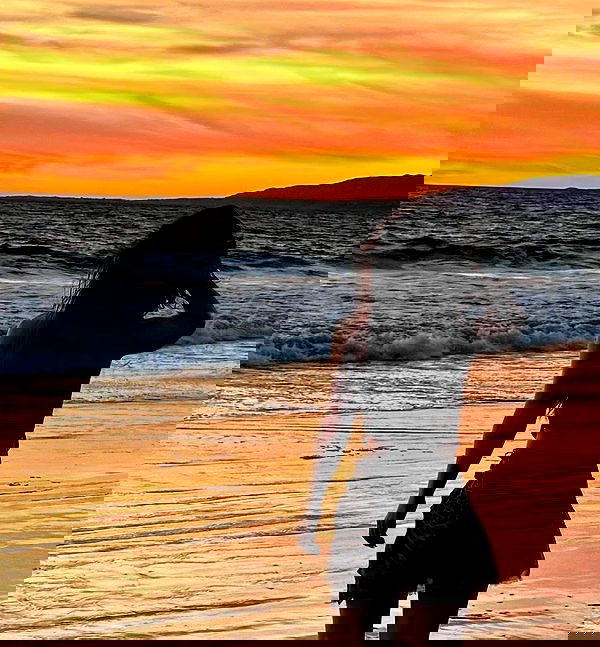 giuliahere giuliahere archive image