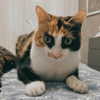 nishymoon_ Altpins Profile Picture
