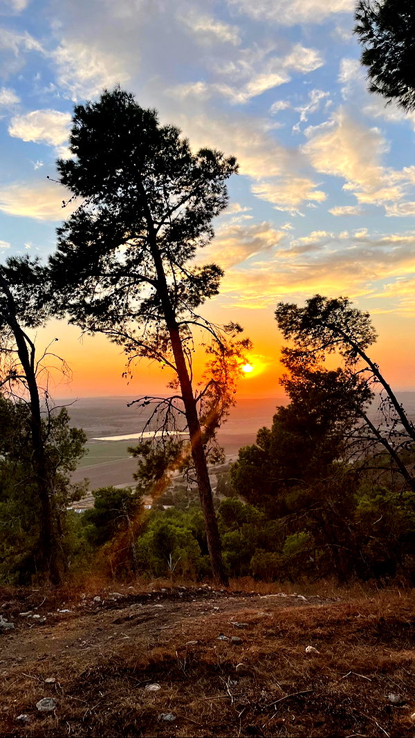 shaharo__._ instagram image archive image