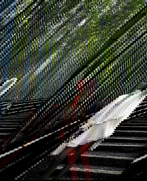 taylor.creeden taylor.creeden archive image