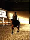 levsave Altpins Profile Picture