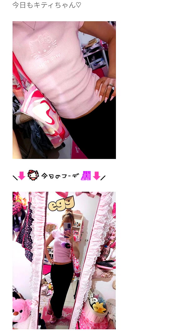 piyokoblog archive image
