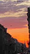 shpaakova Altpins Profile Picture
