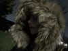 imnotsevven Altpins Profile Picture