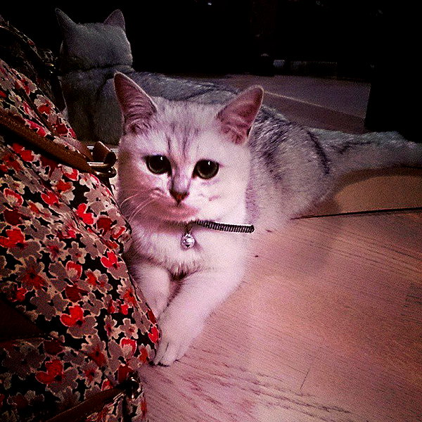 sychevskaya instagram image archive image
