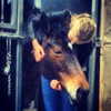 gigihadid Altpins Profile Picture