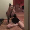 shurochkauff Altpins Profile Picture