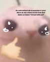 milkiwifey Altpins Profile Picture