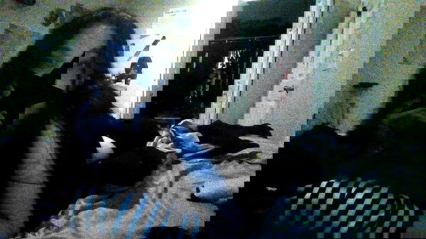 xombunni image ~ Altpins